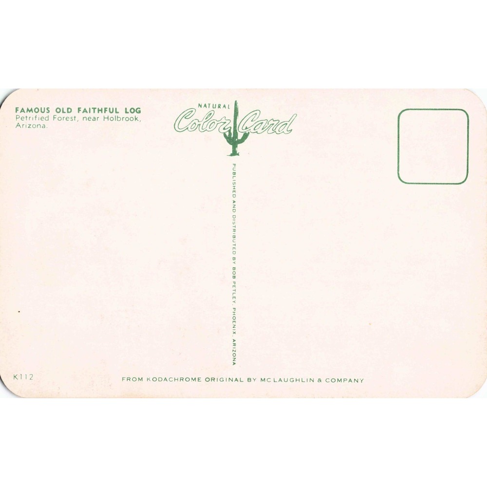 Famous Old Faithful Log Petrified Forest Holbrook Arizona Vintage Postcard - Picture 2 of 2